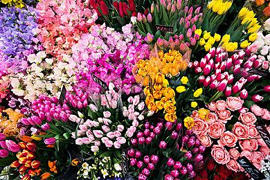 《英雄联盟》S13主题曲“GODS” 10月4日公开